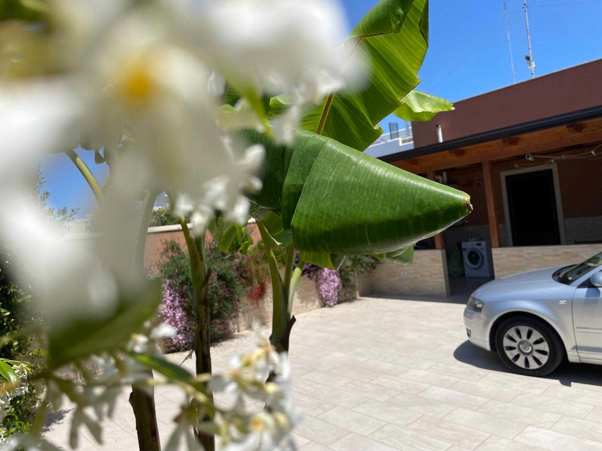 Caramel House & Villa บารี ภายนอก รูปภาพ